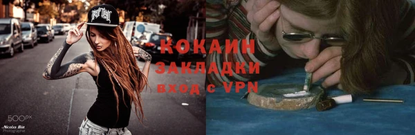 хмурый Белокуриха