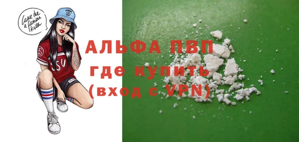 хмурый Белокуриха