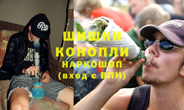 хмурый Белокуриха