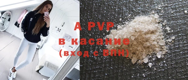 ECSTASY Осинники