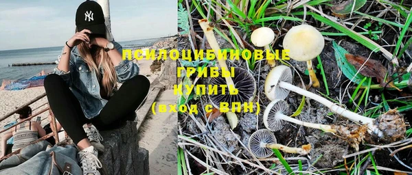 хмурый Белокуриха