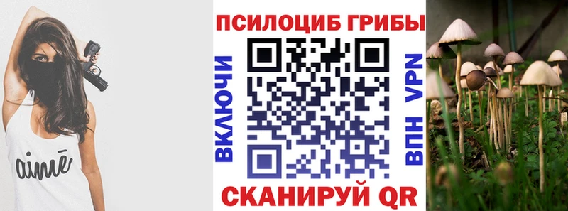 Галлюциногенные грибы Cubensis Югорск
