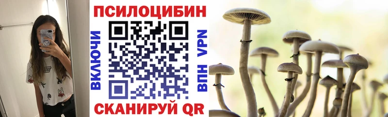 darknet наркотические препараты купить наркотики сайты Югорск Псилоцибиновые грибы прущие грибы
